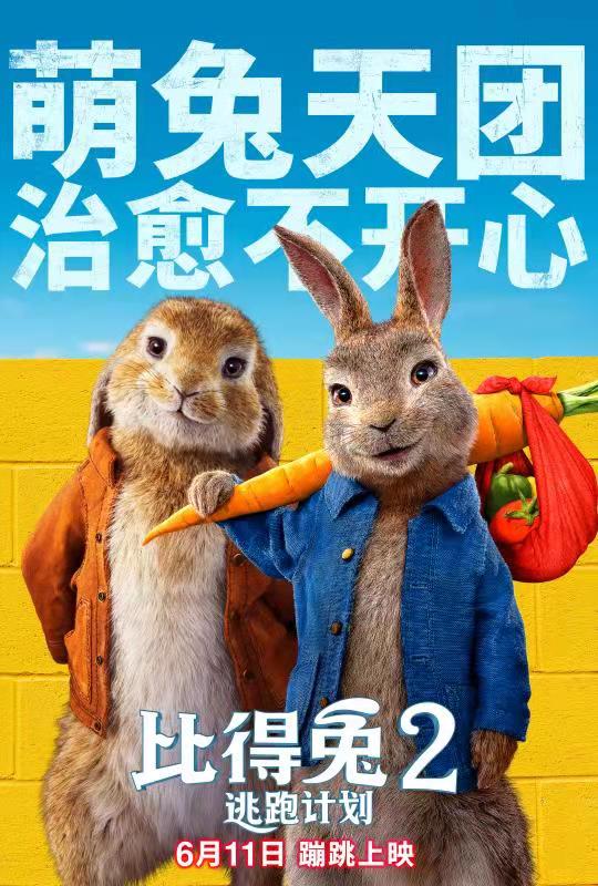 狼群免费观看视频影院